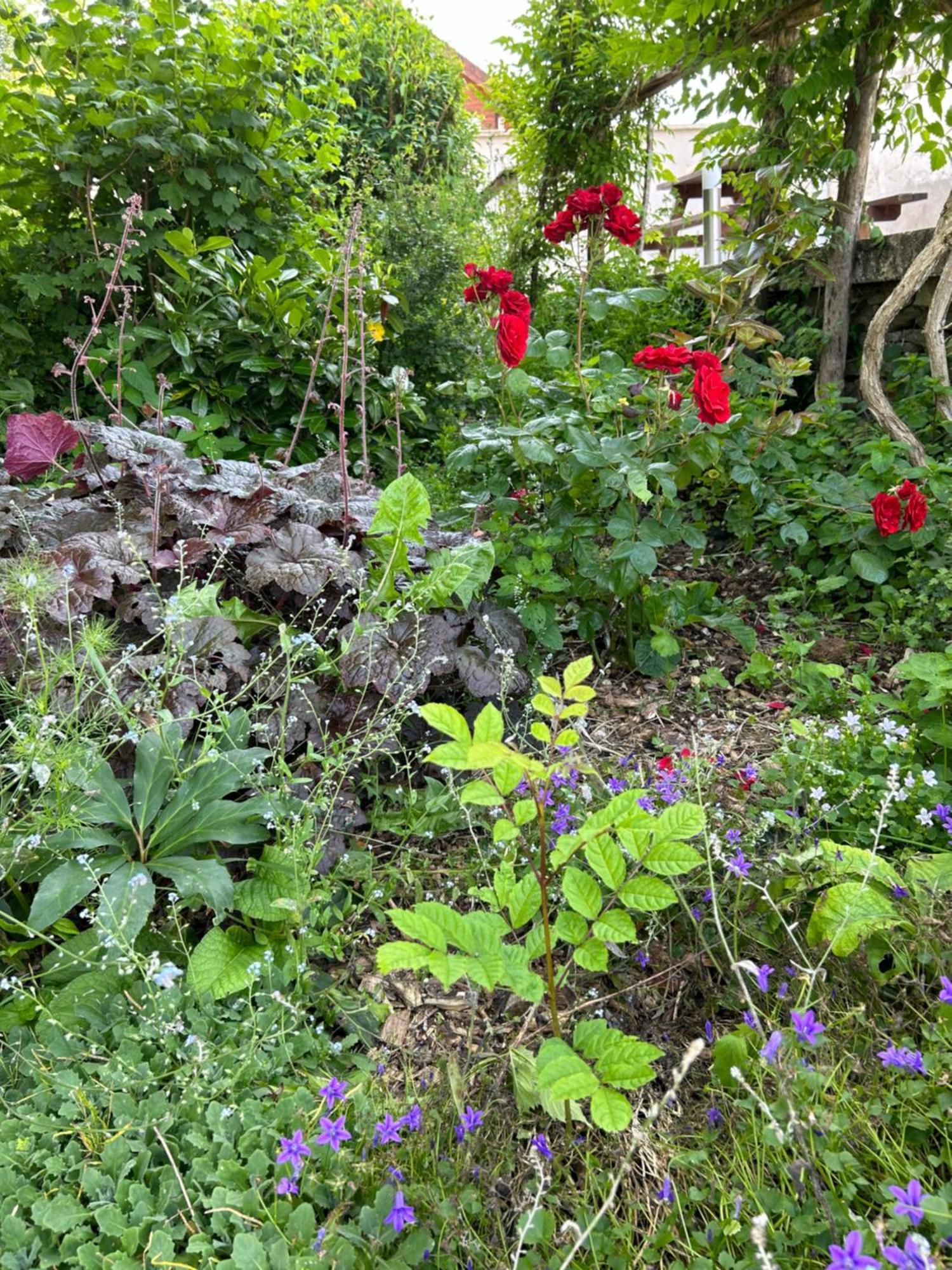 Pivoine Chambre D Hotes Fralignes Exterior photo